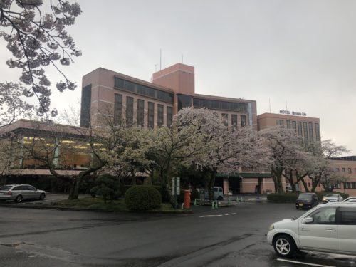 御殿場高原ホテルの桜